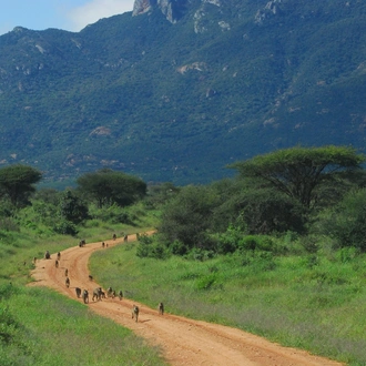tourhub | Exodus Safaris | 9 Days Budget Kenya Safari – Masai Mara, Naivasha, Amboseli & Tsavo 