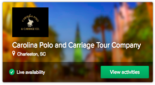 Carolina Polo and Carriage Tour Company