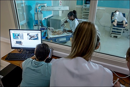 Représentation de la formation : Certificat d’université aux méthodes d’enseignement en simulation interprofessionnelle en santé