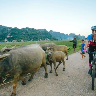 tourhub | Intrepid Travel | Cycle Northern Vietnam 