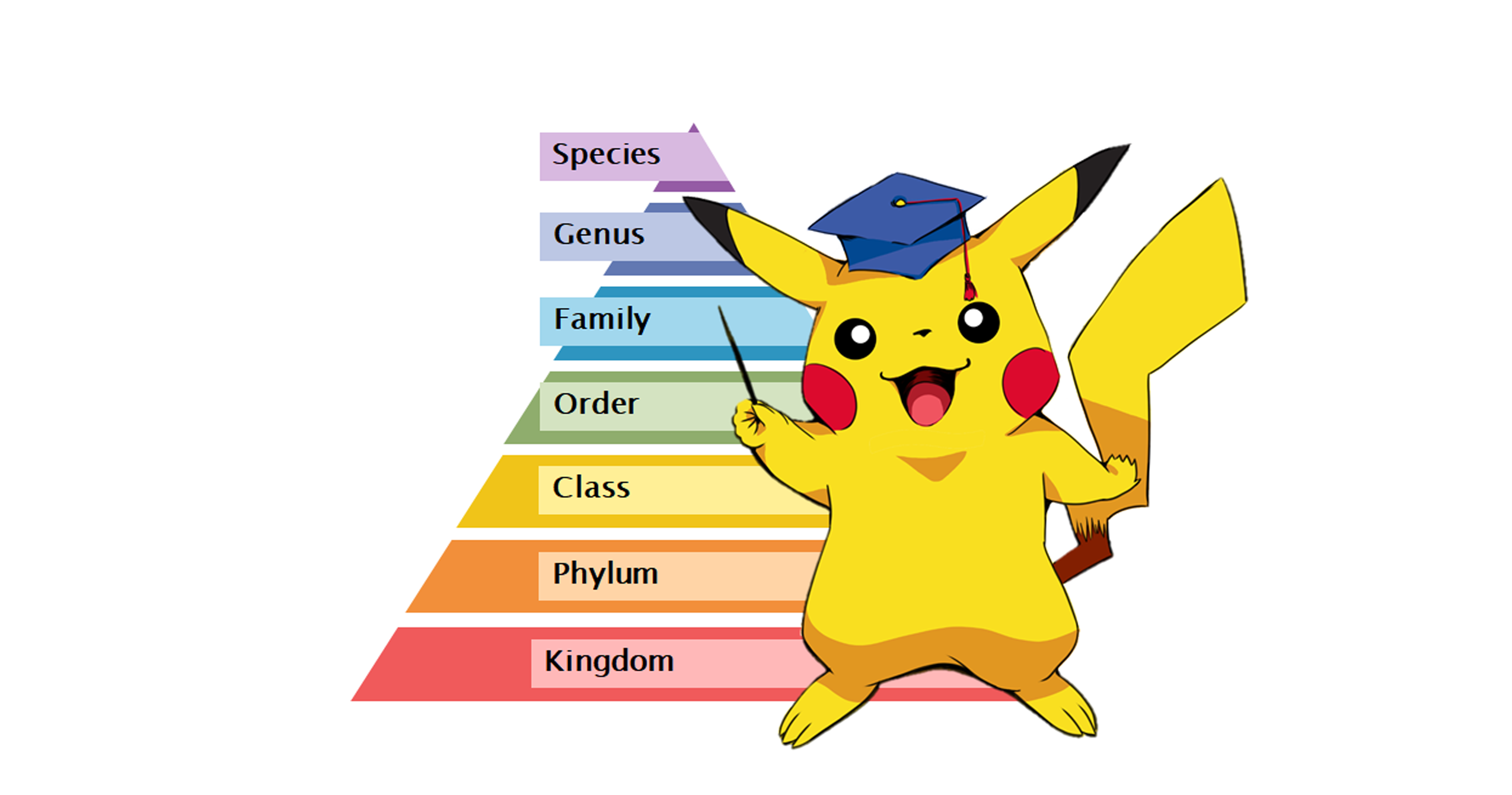 (Flex Class) PokéMammals: An Introduction To Mammals Using Pokémon ...