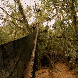 tourhub | Bamba Travel | Puerto Maldonado Amazon Eco-Lodge 4D/3N (from Puerto Maldonado) 