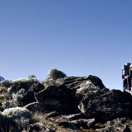 Kilimanjaro 7 Days Lemosho Route