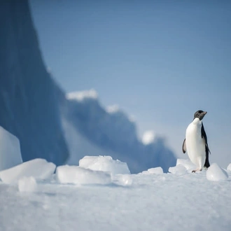 tourhub | Today Voyages | Antarctica - Basecamp - free camping, kayaking, snowshoe/hiking, photo workshop, mountaineering 