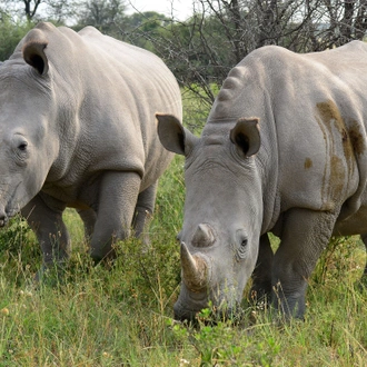 tourhub | Intrepid Travel | Botswana Family Safari with Teenagers 