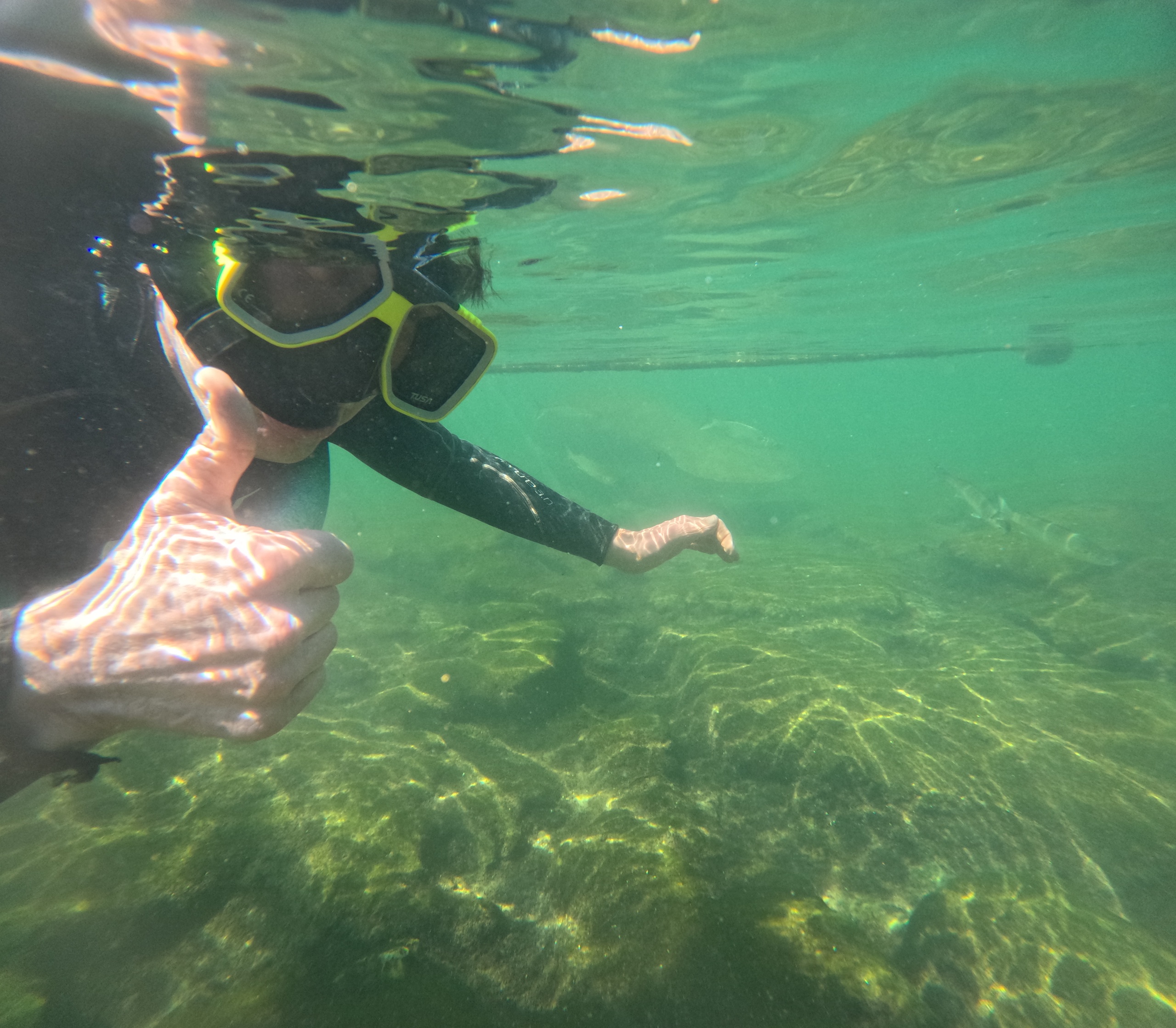 Splish Splash Springs Snorkeling Tour