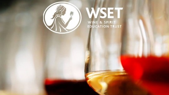 Représentation de la formation : Diplôme de Niveau 1 en Vin du WSET