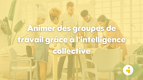 Représentation de la formation : Animer des groupes de travail grâce à l’intelligence collective