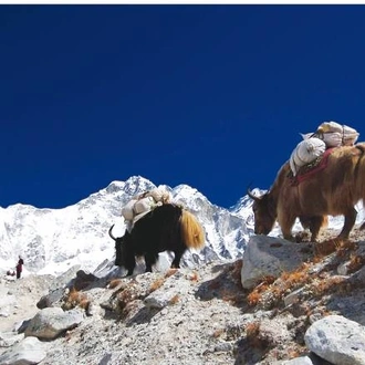 tourhub | World Expeditions | Everest Base Camp Trek in Comfort 