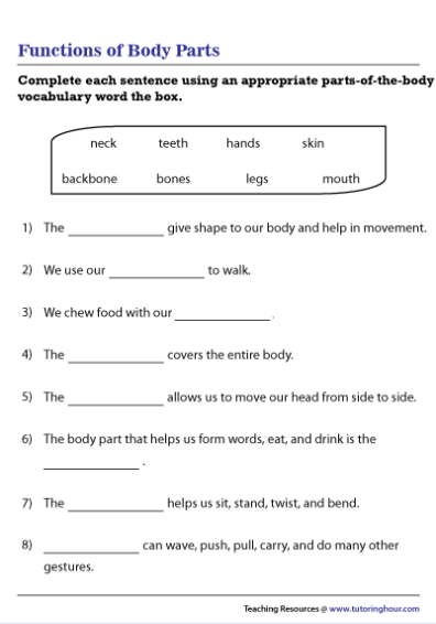 18-wonderful-worksheets-to-learn-the-parts-of-the-body-teaching-expertise