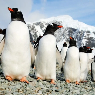 tourhub | Today Voyages | Antarctica - Discovery and learning voyage + navigational workshop 