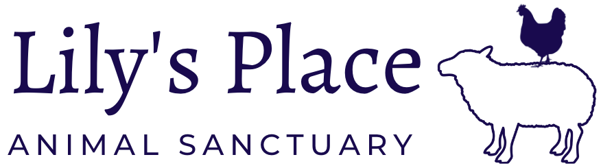 Lily's Place Animal Sanctuary logo