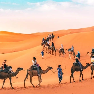 tourhub | Morocco Private Tours | 6 days tour from Marrakech through the Sahara Fes and Casablanca. 