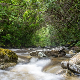 tourhub | Heritage Expeditions | Unseen Fiordland and Stewart Island 