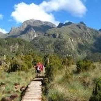 tourhub | Trek Rwenzori Tours | Rwenzori Mountain Uganda 