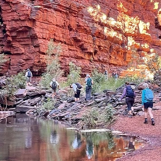 tourhub | Intrepid Travel | Walk Western Australia's Karijini & Ningaloo Reef 