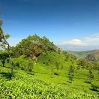 tourhub | Explore Vacations | Wonderful Sri Lanka 