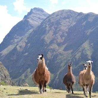 tourhub | Exodus Adventure Travels | The Inca Trail 