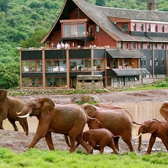 tourhub | Gracepatt Ecotours Kenya | Private 7 days Kenya's Best wildlife safari 