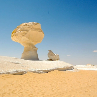 tourhub | Black Camel Tours | From Cairo: Bahariya oasis and white desert 2 Days safari trip 