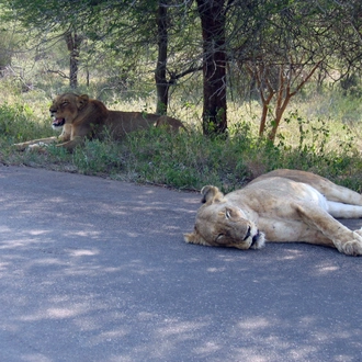 tourhub | Timeline Travel | KRUGER NATIONAL PARK TO CAPE TOWN 