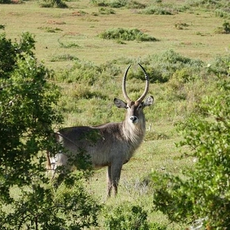 tourhub | Amatungulu Tours | Cradle of Human Kind & Pilanesberg Game Reserve Tour 