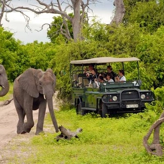 tourhub | On The Go Tours | Chobe, Okavango & Etosha - 14 days 