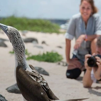 tourhub | G Adventures | The Galápagos: Wildlife of Santa Cruz & Isabela Islands 