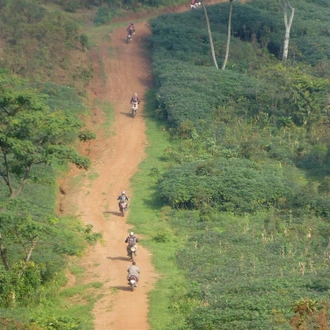 tourhub | Motor Trails | 15 Days Uganda Rwanda Safari Guided Motorcycle Tour 