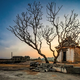 tourhub | Agora Voyages | Archaeological Odyssey: From Goa to Karnataka's Heritage Gems 