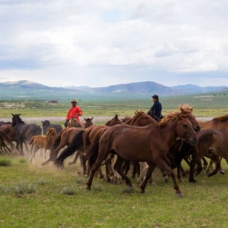 tourhub | Tour Mongolia | Scenes of National park 