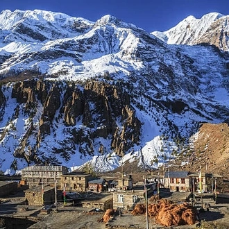 tourhub | Sherpa Expedition Teams | Annapurna Circuit with Tilicho Lake Trek 