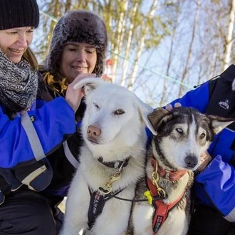 tourhub | On The Go Tours | Levi Lapland Explorer - 6 Days 