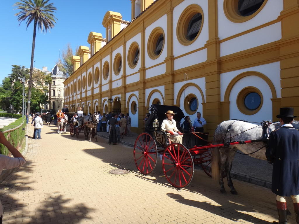 Jerez and Cádiz from Seville - Wine, Horses and Light with Pickup in Small Group - Alloggi in Siviglia