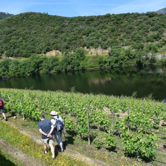 tourhub | Exodus Adventure Travels | Portugal: Walking & Wine - Premium Adventure 