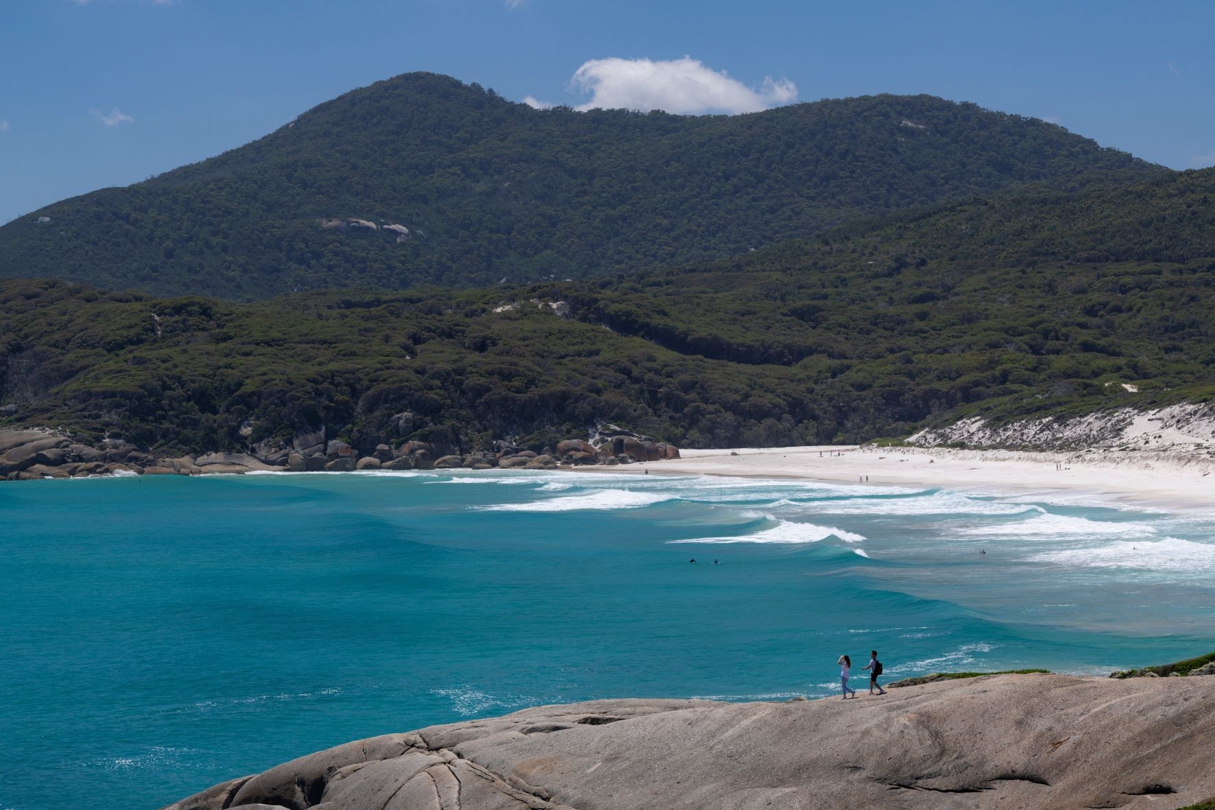 1-Day Tour to Appreciate Breathtaking Coastal Landscapes and Meet Untouched Wilderness in Wilson's Promontory 