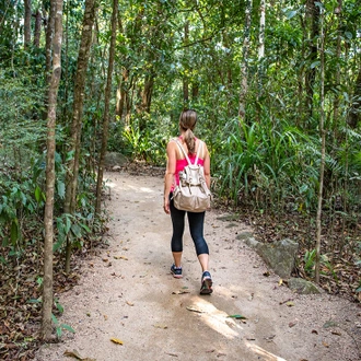 tourhub | Intrepid Travel | Best of Cairns, Great Barrier Reef & Daintree  