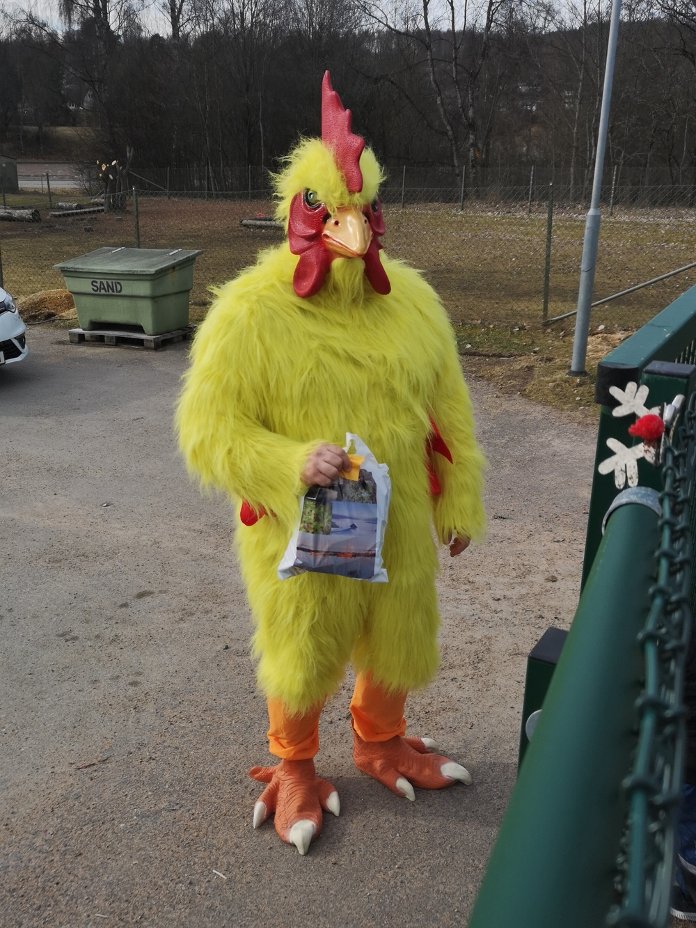 Kycklingen är redo för den årliga påskparaden.