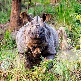 tourhub | Liberty Holidays | 2 Day Chitwan National Park Tour from Kathmandu 