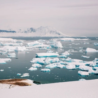 tourhub | Intrepid Travel | Ultimate Antarctica: Falklands, South Georgia & the Antarctic Circle (Ocean Endeavour)  