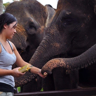 tourhub | Stelaran Holidays | Wildlife and Nature Tour 