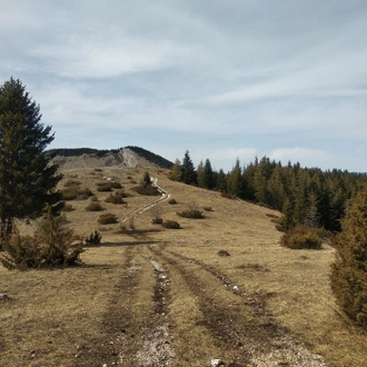 tourhub | The Natural Adventure | Walking in the Rhodope Mountains Short Break 