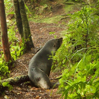 tourhub | Heritage Expeditions | Southern Fiords Discovery 