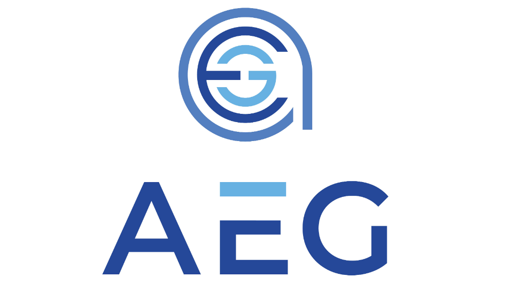AEG - Application Engineering Group