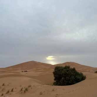 tourhub | Escorted Morocco Tours | 3 Days Morocco Sahara Desert Tour from Marrakech 