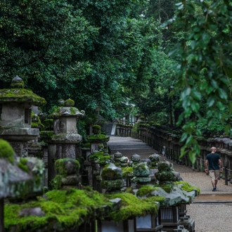 tourhub | G Adventures | Japan: Tokyo Nights & Kyoto Temples 