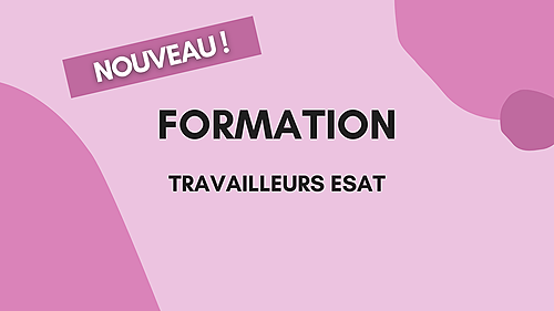 Représentation de la formation : FORMATION des délégués des personnes en ESAT