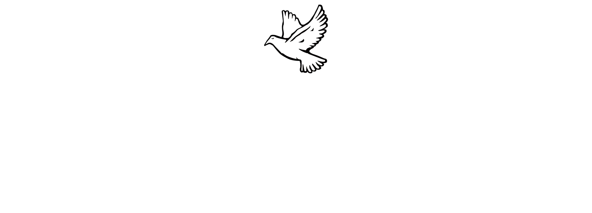 Steinhaus-Holly Funeral Home Logo