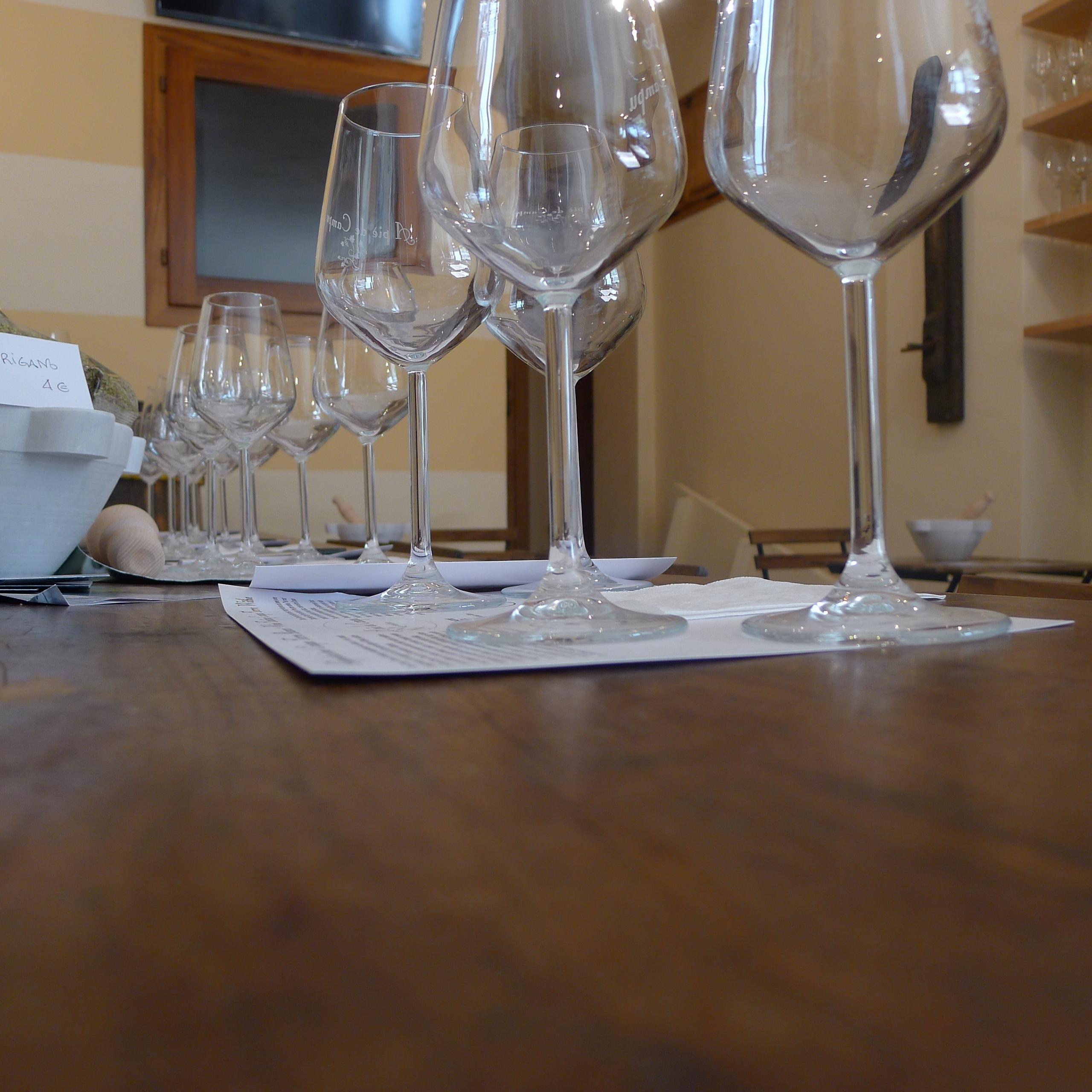 Degustazione di vini a Manarola. Degustazione Sensoriale Guidata da un Sommelier Professionista AIS in Piccolo Gruppo - Alloggi in Cinque Terre