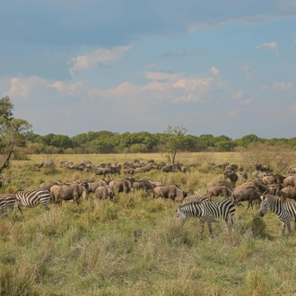 tourhub | Shepherd Holidays | Best Kenya Tour: Sunsets & Safaris, a Kenyan Tale in 5 Days  